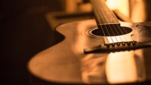 Guitar Price in India