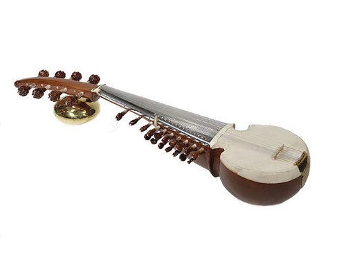 Top 10 Musical Instruments in India | Amrit Music