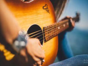 Guitar Shop in Panchkula