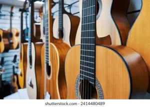 Top 10 guitar shops in Chandigarh