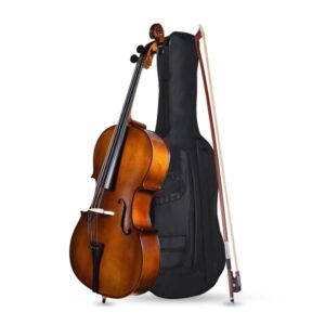 Violin Price in India