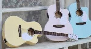 Top 10 Guitar Brands in India