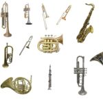 Top 10 Wind Instruments in India