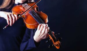 Best Violin Manufacturers in India Best Violin Manufacturers in India