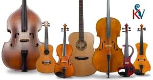 Best Violin Manufacturers in India