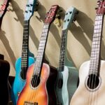 Best Acoustic Guitar Brands in India