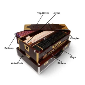 Which Harmonium Features Matter Most for Stage Performances?  