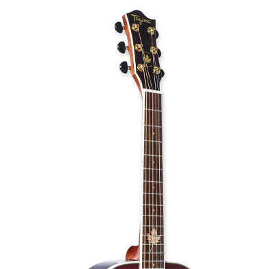 Tagima FERNIE EQ Baby non-cutaway Acoustic Guitars Tagima FERNIE EQ Baby non-cutaway Acoustic Guitars - Image 3