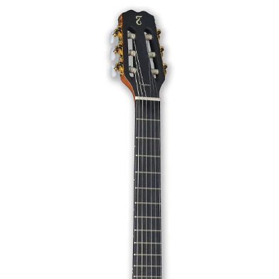 Tagima MODENA NYLON Acoustic Guitars Tagima MODENA NYLON Acoustic Guitars - Image 6