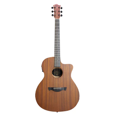 Tagima DALLAS GRAN RESERVA EQ Acoustic Guitars Tagima DALLAS GRAN RESERVA EQ Acoustic Guitars - Image 2